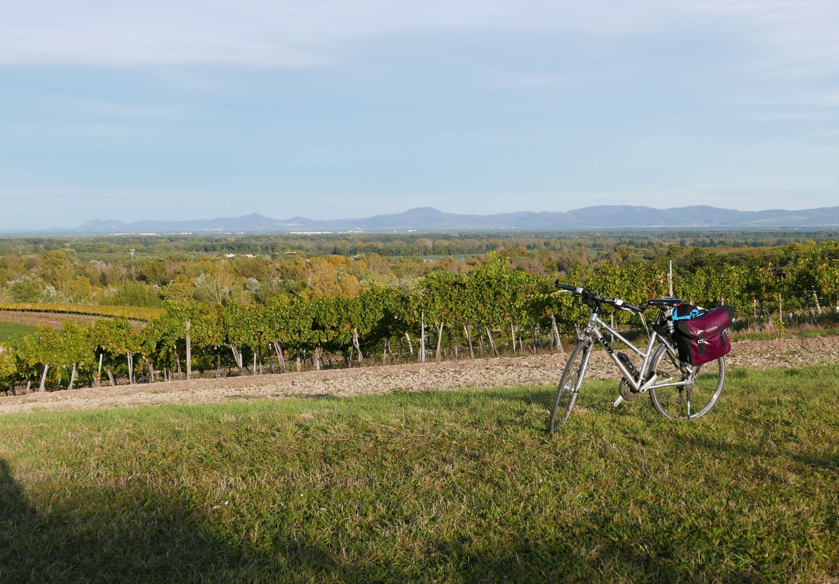 Blick auf die Marchauen und die Kleinen Karpaten