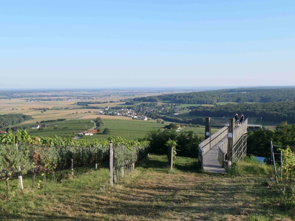 Blick vom Eisenberg auf den Pinkaboden