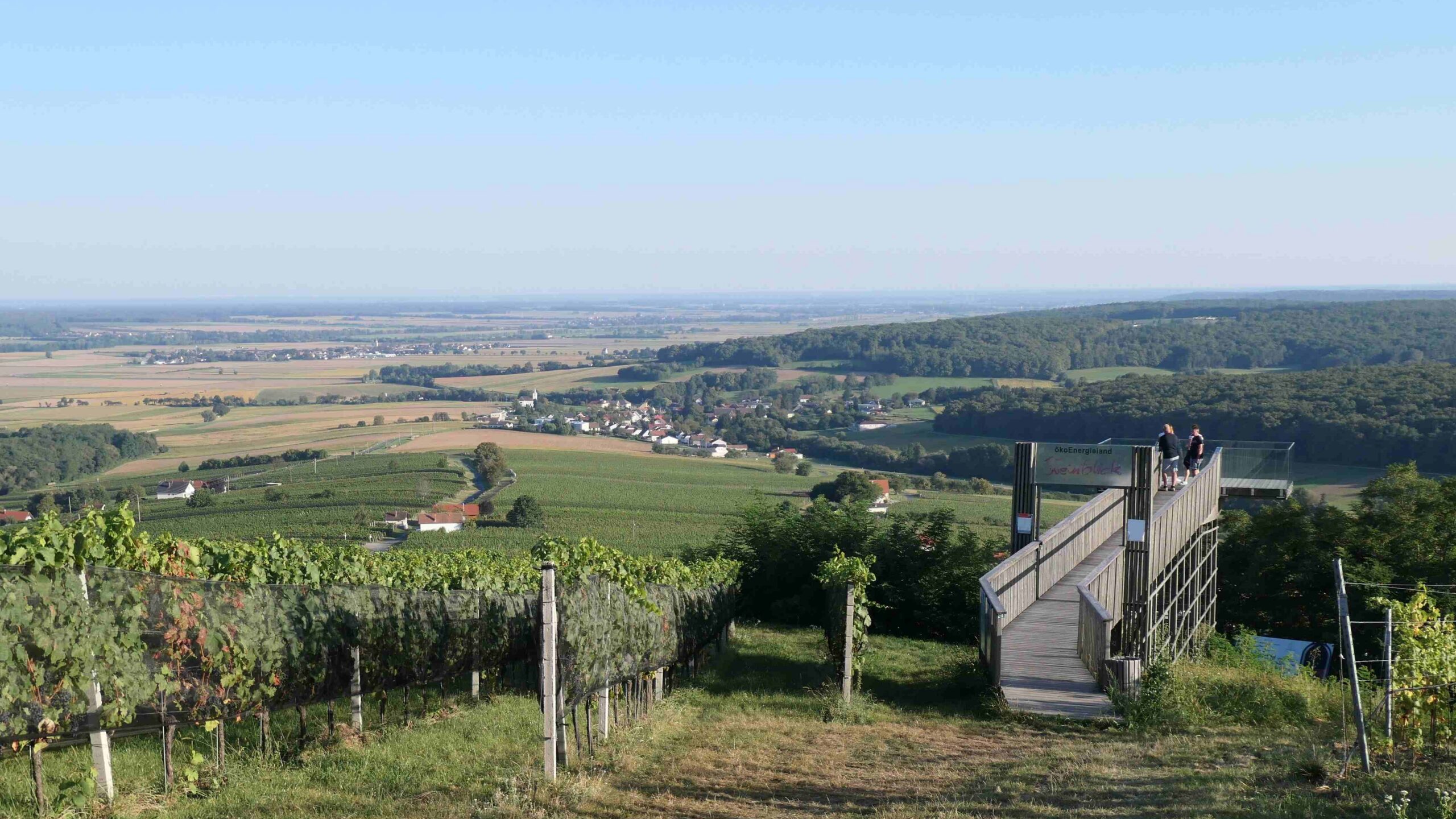 Blick vom Eisenberg auf den Pinkaboden