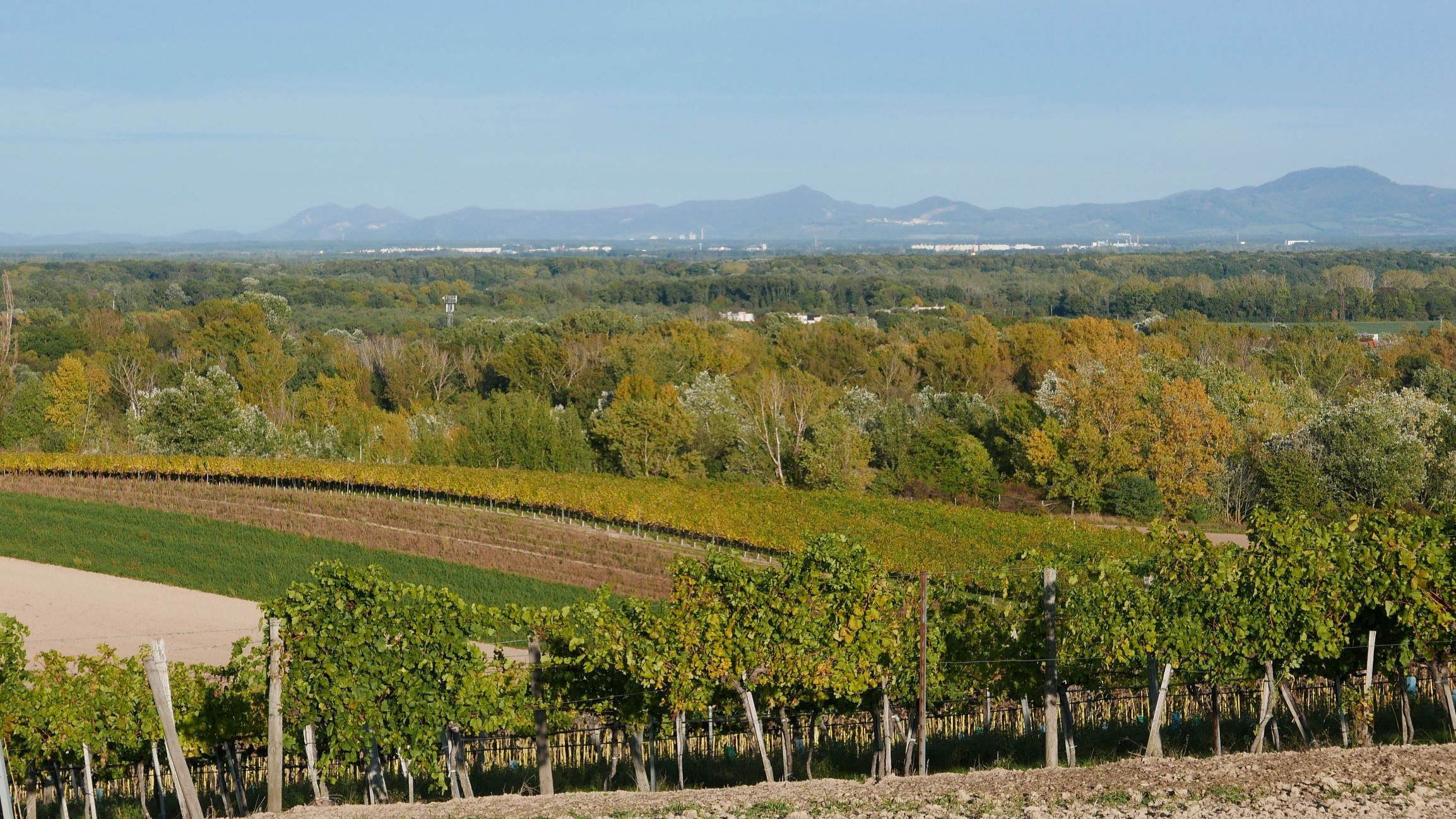 Marchfeld und Kleine Karpaten
